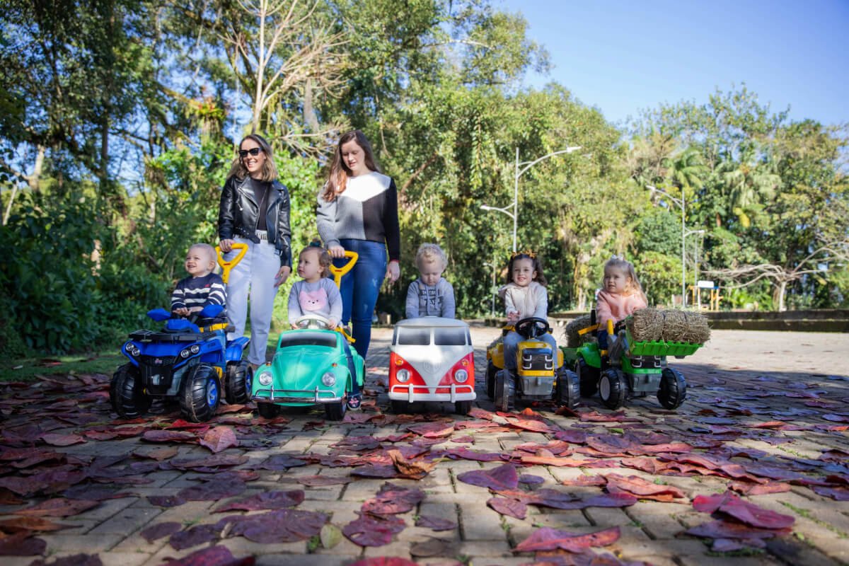 carrinhos de passeio poliplac