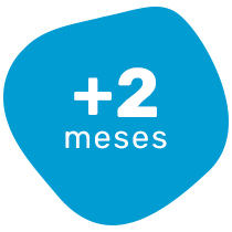 2 meses