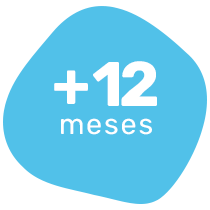 12 meses