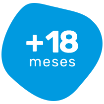 18 meses
