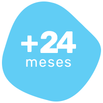 24 meses